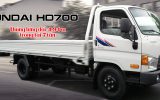 HD700 Đồng Vàng, xe tải Hyundai lắp ráp 3 cục CKD chính hãng