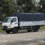Xe Tải Hyundai Veam  HD800 8 Tấn Thùng Đông lạnh