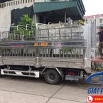 Xe Chở Lợn Hyundai HD120S 8.5 Tấn Đô Thành