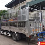 Xe Chở Lợn Hyundai HD120S 8.5 Tấn Đô Thành