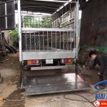 Xe Chở Lợn Hyundai HD120S 8.5 Tấn Đô Thành